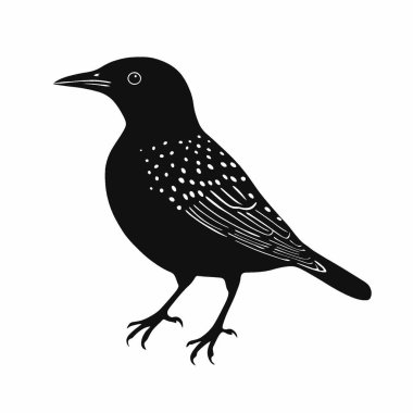 Avrupa Starling silueti, Markalaşma İçin Basit Siyah ve Beyaz Siluet.