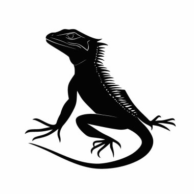 Grafikler için Basilisk Kertenkele silueti, Şık Tek Renkli Vektör Silueti.