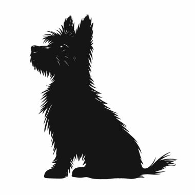 Cairn Terrier silueti, Tarz Siyah ve Beyaz Simge Düz Vektör Tasarımı.