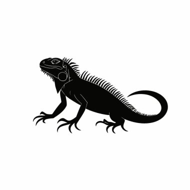 İguana silueti, Modern Siyah ve Beyaz Siluet Düz Simge.