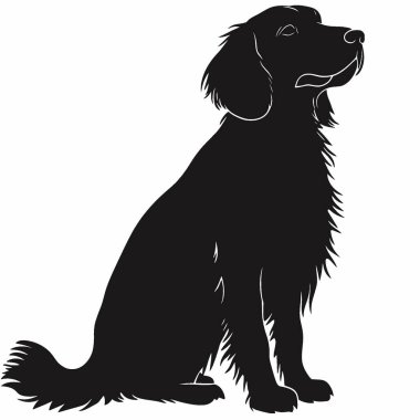 İrlanda Setter silueti, Modern Siyah ve Beyaz Siluet Düz Simge.