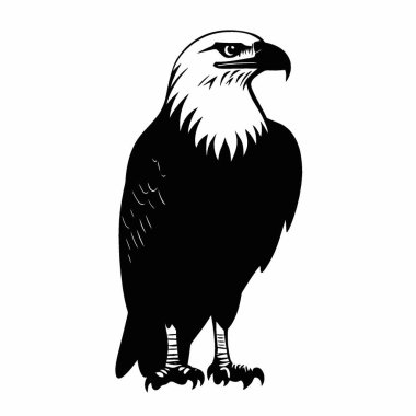 African Fish Eagle silhouette,Modern Black and White Silhouette Flat Icon. clipart