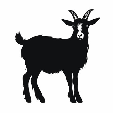 American Pygmy Goat silhouette,Timeless Black and White Vector Silhouette Design. clipart