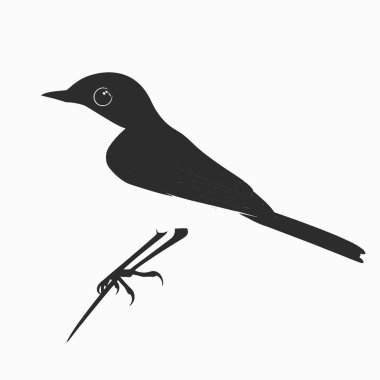 Blue Gray Gnatcatcher silhouette,Black and White Silhouette Vector Icon for Design. clipart