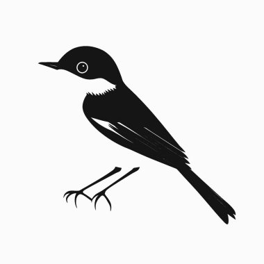 Blue Gray Gnatcatcher silhouette,Black and White Silhouette Vector Icon for Design. clipart