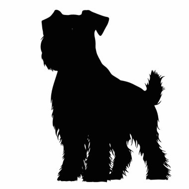Bouvier Des Flandres silueti, Zarif Siyah ve Beyaz Siluet Düz Simge.