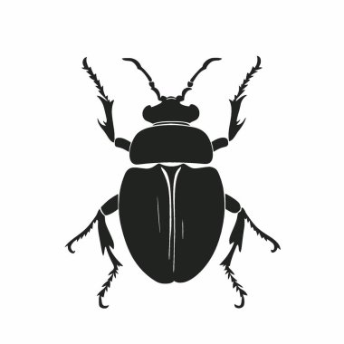 Grafikler için Pinacate Beetle silueti, Chic Monochrome Vektör Silueti.