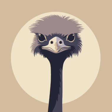 Ostrich Flat Vector Art Wildlife, Animal, Bird, Icon, Flightless. clipart