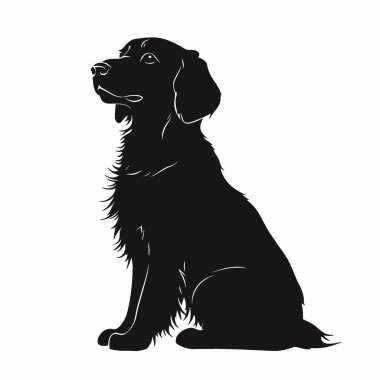 Mavi Picardy Spaniel silueti, Tarz Siyah ve Beyaz Simge Düz Vektör Tasarımı.