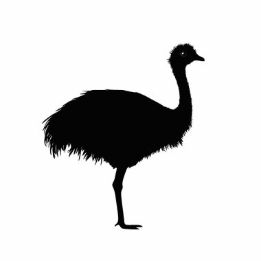 Emu silueti, Damgalamak için Basit Siyah ve Beyaz Siluet.