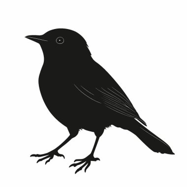 Dunnock silhouette,Simple Black and White Silhouette for Branding. clipart