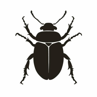 Figeater Beetle silueti, Grafikler için Chic Monochrome Vektör Silueti.