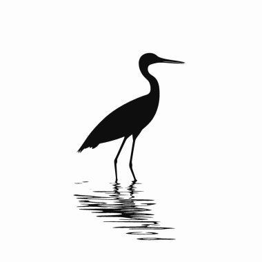 Jacana silueti, Modern Siyah ve Beyaz Siluet Düz Simge.