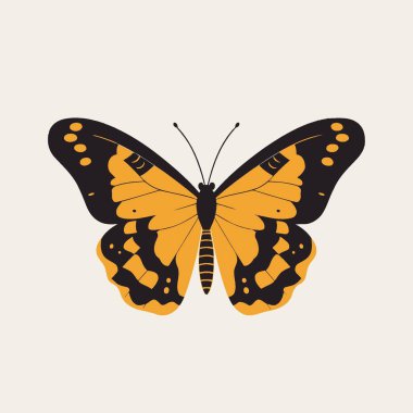 Kelebek Vektör İllüstrasyon Böceği, Lepidoptera, Kanatlar, Doğa, Simge.