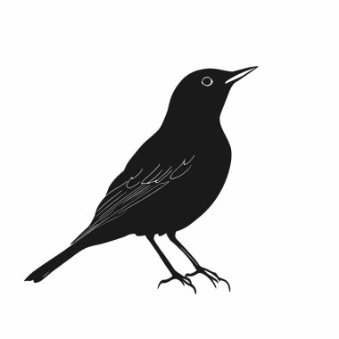 Doğu Meadowlark silueti, Projeler için Çok Yönlü Siyah ve Beyaz Vektör Simgesi.