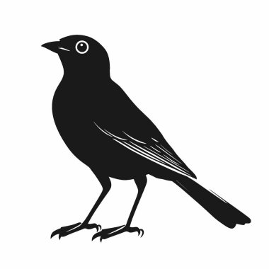 Myna Bird silueti, Minimalist Düz Siyah ve Beyaz Siluet Simgesi.