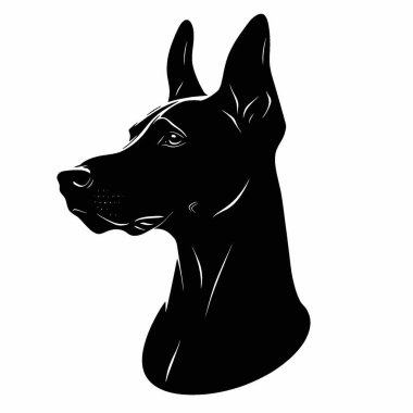 Doberman Pinscher silueti, Grafikler için Tek Renkli Vektör Silueti.