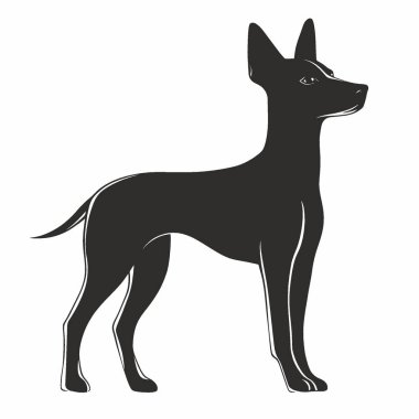 Basenji Dog silhouette,Black and White Silhouette Vector Icon for Design. clipart