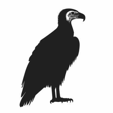 Vulture silhouette,Elegant Black and White Silhouette Flat Icon. clipart