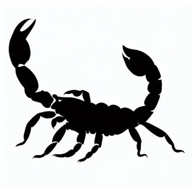 Scorpion 'un Vektör Silueti, Araknid ve Vahşi Yaşam Temaları için Cimri Akrep Grafiği