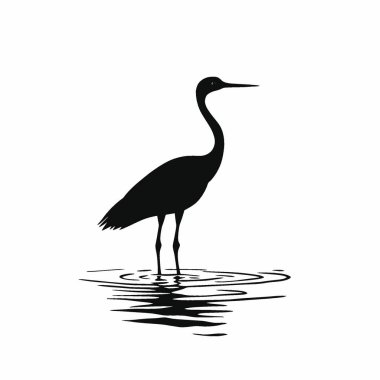 Afrikalı Jacana silueti, Temiz Siyah ve Beyaz Vektör Siluet Sanatı.
