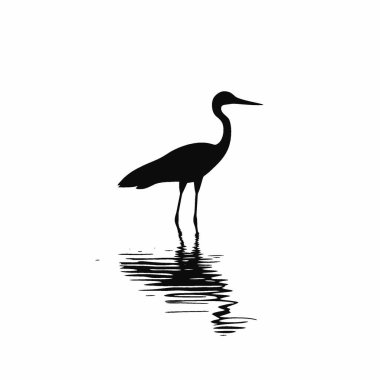 Afrikalı Jacana silueti, Ebedi Siyah ve Beyaz Vektör Siluet Tasarımı.