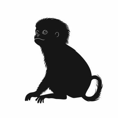 Geoffroys Tamarin silhouette,Minimalist Flat Black and White Silhouette Icon. clipart