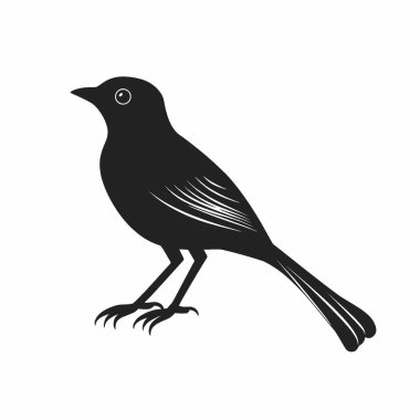 Catbird silhouette,Modern Black and White Silhouette Flat Icon. clipart