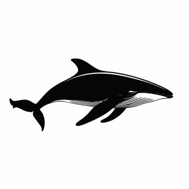 Minke Whale silhouette,Clean Black and White Vector Silhouette Art. clipart