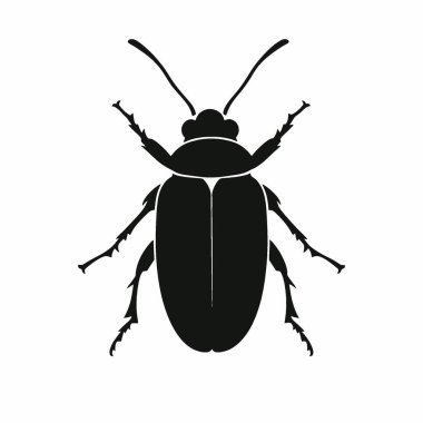 Jewel Beetle silueti, Minimalist Düz Siyah ve Beyaz Siluet Simgesi.