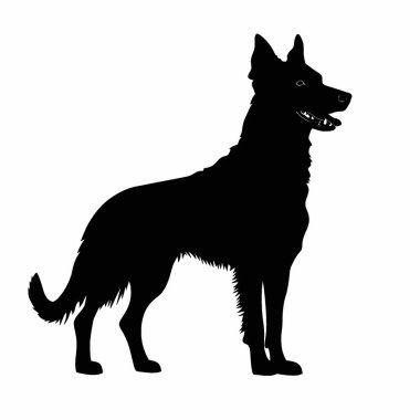 Beauceron silueti, Ebedi Siyah ve Beyaz Vektör Siluet Tasarımı.