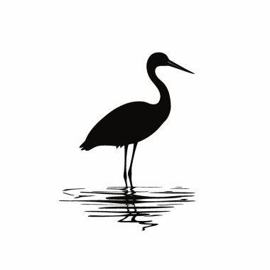 Afrikalı Jacana silueti, Minimalist Düz Siyah ve Beyaz Siluet Simgesi.