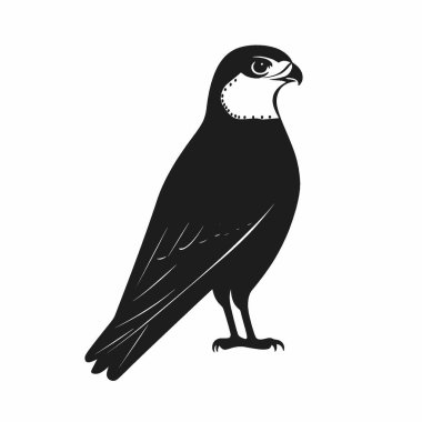 Falcon silhouette,Timeless Black and White Vector Silhouette Design. clipart