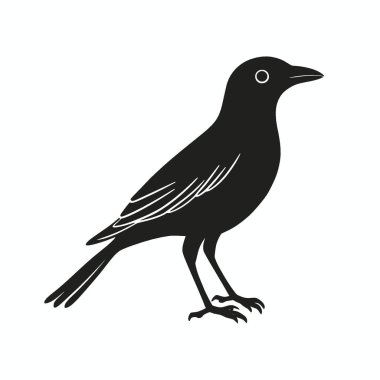 Myna silhouette,Clean Black and White Vector Silhouette Art. clipart