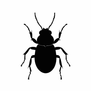 Weevil silueti, Projeler için Çok Yönlü Siyah ve Beyaz Vektör Simgesi.