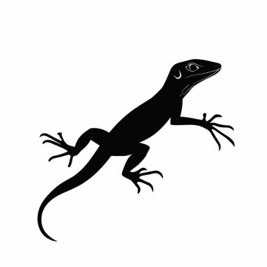 Anole Kertenkele silueti, Temiz Siyah ve Beyaz Vektör Siluet Sanatı.