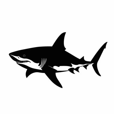 Bull Shark silueti, Zarif Siyah ve Beyaz Siluet Düz Simge.