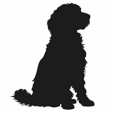 Labradoodle silueti, Siyah ve Beyaz Siluet Tasarım için Vektör Simgesi.