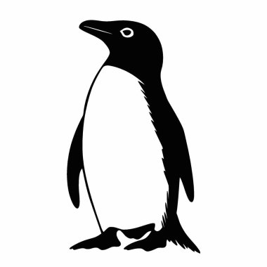 Galapagos Penguen silueti, Tarz Siyah ve Beyaz Simge Düz Vektör Tasarımı.