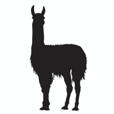 Lama silueti, Zarif Siyah ve Beyaz Siluet Düz Simge.