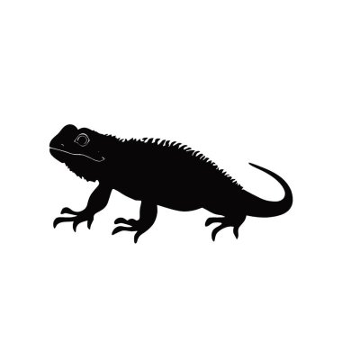 Brookesia Micra silueti, Tarz Siyah ve Beyaz Simge Düz Vektör Tasarımı.