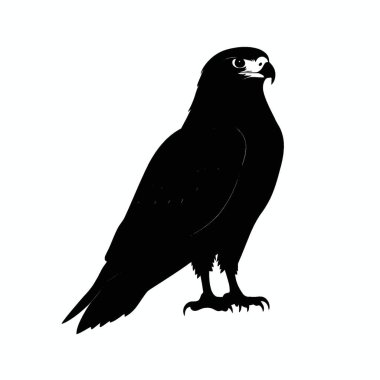 Harris Hawk silueti, Marka İçin Basit Siyah ve Beyaz Siluet.