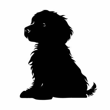 Petite Goldendoodle silueti, Zarif Siyah ve Beyaz Siluet Düz Simge.