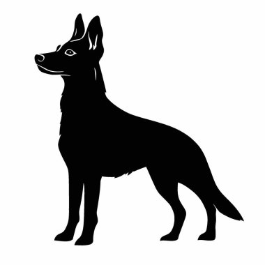 Avustralyalı Kelpie Köpek silueti, Modern Siyah ve Beyaz Siluet Düz Simge.