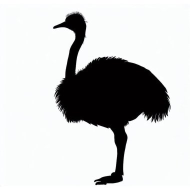 Vector Silhouette of Ostrich, Graceful Ostrich Graphic for Bird and Wildlife Concepts clipart