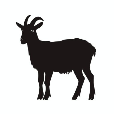 Alpine Goat silueti, Grafikler için Chic Monochrome Vektör Silueti.