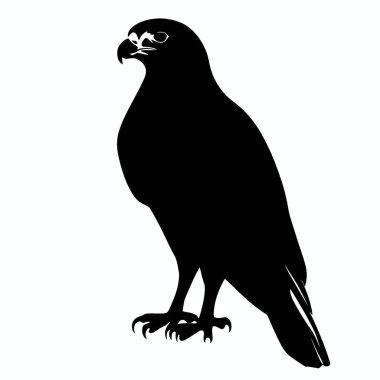 Ferruginous Hawk silueti, Minimalist Düz Siyah ve Beyaz Siluet Simgesi.