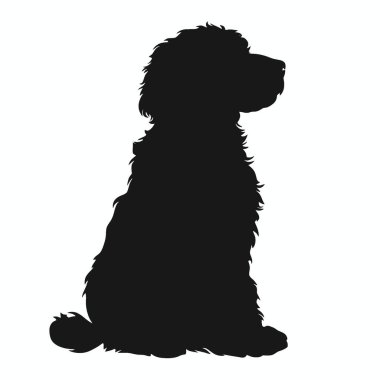 Labradoodle silueti, Siyah ve Beyaz Siluet Tasarım için Vektör Simgesi.