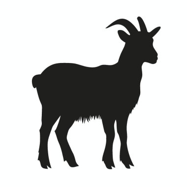 Kibar Keçi silueti, Zarif Siyah ve Beyaz Siluet Düz Simge.
