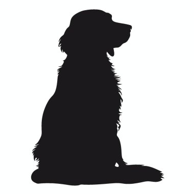 American Water Spaniel silueti, Minimalist Düz Siyah ve Beyaz Siluet Simgesi.